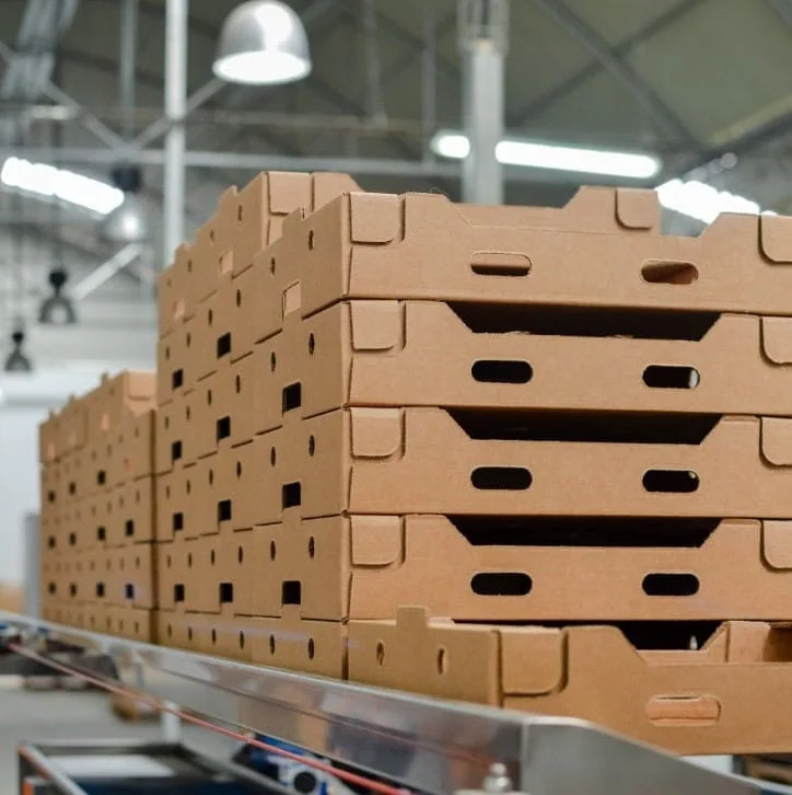 Corrugated Boxes & Cartons