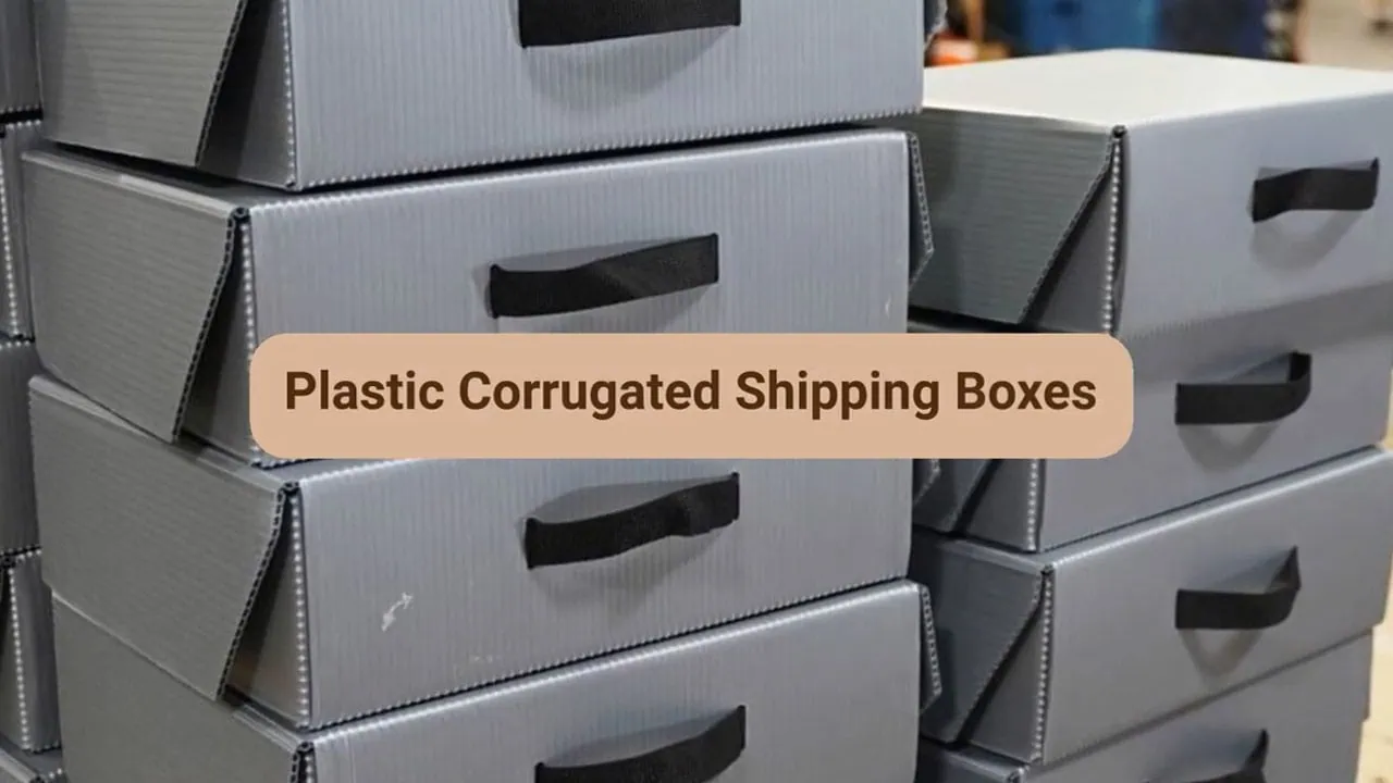 Plastic Corrugated Shipping Boxes